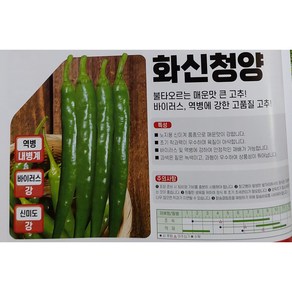 고추 종자 매운 맛있는 청양고추씨앗 내병계 큰청양 화신청양 1000립 1개