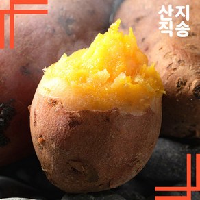 해남으뜸 최고당도 꿀고구마 베니하루카 비세척, 1박스, (비세척)한입 2KG