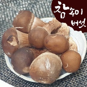 [산지직송] 국내산 참송이버섯 500g (상/못난이 랜덤), 1개