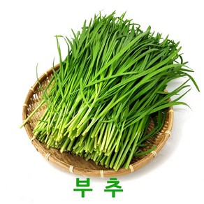 싱싱한 부추2kg 4kg 웰빙체소