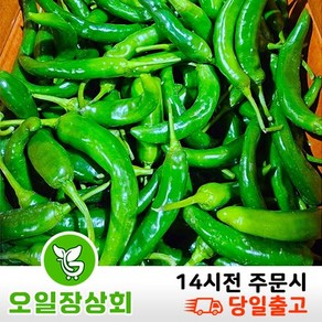( 오 일 장 상회 ) 국내산 오이고추 아삭이고추 오이맛고추 안매운고추 <상등급> 5kg 10kg 내외, 1개, <상등급>10kg