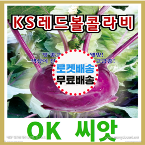 [OK씨앗] [KS레드볼콜라비] 콜라비씨앗 종자(오케이씨앗), 1개