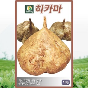 다농 히카마씨앗 10g 히카마 얌빈 멕시코 감자씨 종자, 1개