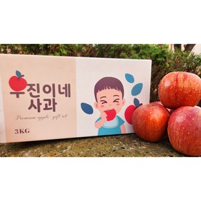 우진이네 사과 경북 청송 가정용 꿀사과 못난이사과 ( 소과 혼합), 1박스, 3KG(혼합)