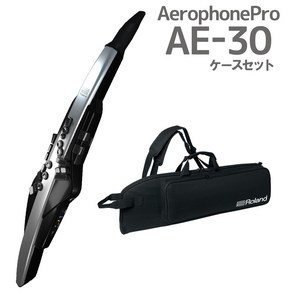 Roland AEROPHONE PRO AE-30 Bird 에어로폰 디지털 관악기 케이스포함