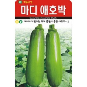 AR 마디 애호박 맛과 품질이 좋은 애호박 씨앗, 1개