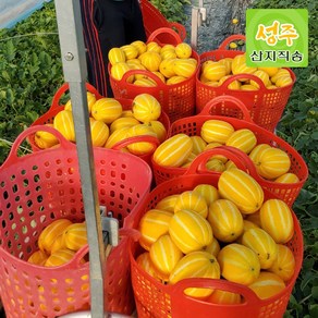 [당도선별] 고당도 성주 꿀 참외, 1박스, 가정용 [중과] 3kg