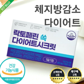 락토페린 쏙 다이어트 시크릿 초유다이어트 체지방 감소 핵심성분 100% 유럽산 체지방 내장 지방 엉덩이둘레 허리둘레 감소 뱃살 턱살 술배 똥배 컷팅 상세 참조 2024년 최신