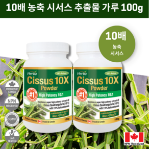 시서스 가루 분말 100g 10배 농축 캐나다 식약처 인증 허바캐나다, 2개