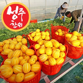맛있는 산지직송 꿀당도 성주 참외 가정용, 1박스, 4.5kg 혼합과 (최저가 행사중)