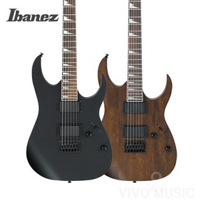 아이바네즈(Ibanez) 일렉트릭 기타 GRG121DX 현음악기, BLACK FLAT, 1개