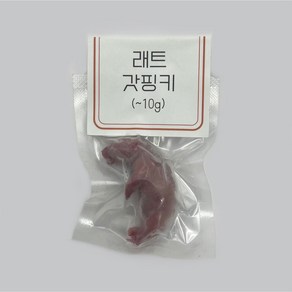 냉동 래트 레트 렛 1마리 [갓핑키] ~10g (진공포장), 1개, 5g