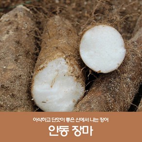 산지직송 안동마 햇마 안동장마 마 생마 장마 5kg