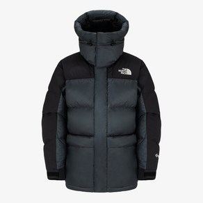 매장정품 노스페이스 THE NORTH FACE NJ1DQ53D 남성 1994 레트로 힘 다운 파카 RDS 다운_STEEL GRAY 108456