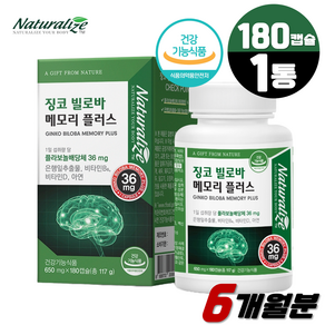 징코 빌로바 메모리 플러스 플라보놀배당체 36mg 180캡슐 은행잎추출물 기억력 개선 두뇌건강 6개월분