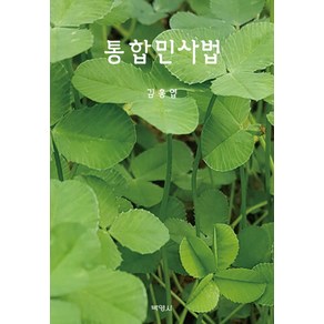 통합민사법, 박영사, 김홍엽 저