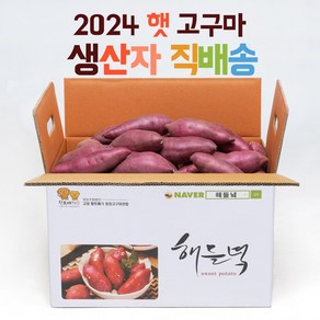 못난이 해들녘 고창 무농약 꿀 고구마 5kg 10kg (왕/특/상/중)