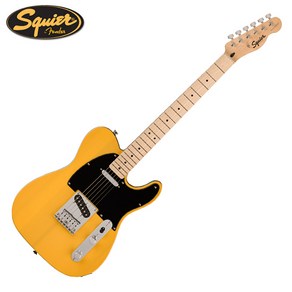 스콰이어 일렉기타 Sonic Telecaster BTB (Maple)