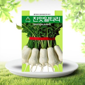 흙닷컴 알타리무씨앗 20g 진맛알타리 무씨앗 동치미무, 1개