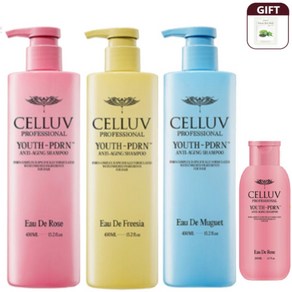 CELLUV 셀럽 YOUTH PDRN 샴푸 450ml 3통X3개+200mlx1개+ 블루베리팩1매, 1세트