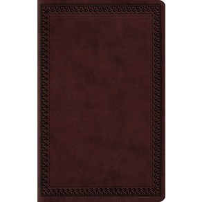 (영문도서) Large Print Value Thinline Bible-ESV-Border Design Imitation Leather