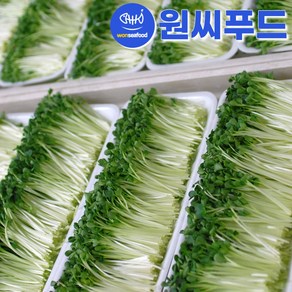 [산지직송]싱싱하고 깨끗한 무순 750g(150gX5팩) GAP인증 영양소 많은 신선한 무순