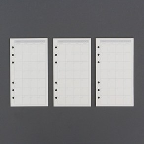스케줄 정리 6공 먼슬리 일정 다이어리 속지135매(A6), 1개