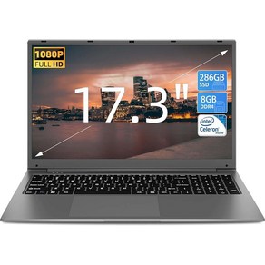 SGIN 노트북 17인치 IPS 풀 HD 디스플레이 노트북 컴퓨터 8GB RAM 256GB SSD 노트북 인텔 셀러론 쿼드 코어 프로세서 미니 HDMI 웹캠 Wi-Fi, 단일, 단일