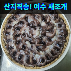 [천상의맛] 쫄깃 탱글 자연산 완전손질 초코새조개 여수 새조개, 1개, 500g(손질)