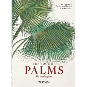 Matius. the Book of Palms. 40th Ed. : At That Inspies Atists, Von Matius. the Book of Pal.., Lack, H. Walte(저), Taschen