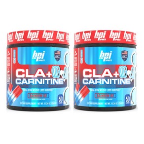 비피아이스포츠 CLA + 카르니틴 레인보우 아이스, 350g, 2개