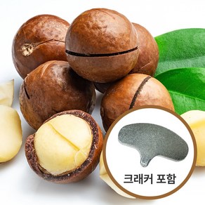 프리미엄 통마카다미아 벌크 (500g 1kg 10kg), 1개, 500g