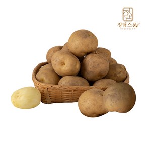 [정담스푼] 감자 10kg 중 25년 햇감자, 1개