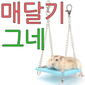 햄스터 방울 그네 장난감, 1개