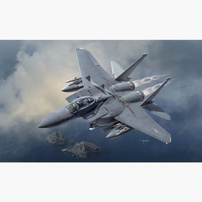 (ACA12362) 아카데미 1/48 대한민국 공군 F-15K 신념불사조, 1개