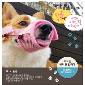 예보들 강아지 입마개, 블랙S, 1개