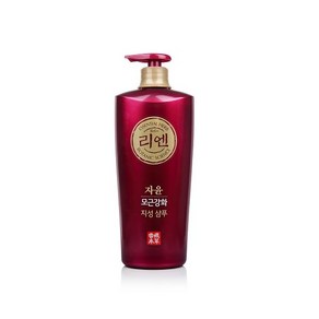 [한방샴푸]리엔 자윤 지성 샴푸 950ml, 1개, 지성두피