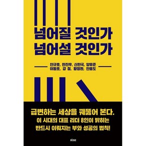 넘어질 것인가 넘어설 것인가:이 시대의 대표 리더 8인이 밝히는 반드시 이뤄지는 부와 성공의 법칙, 안규호,한진우,신한국,양유준,이동호,강철,황정환,..., 떠오름(RISE)