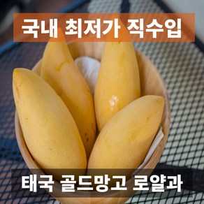 금메달농수산 직수입 프리미엄 태국 로얄과 골드망고, 1개, 4kg (12과수 내외)