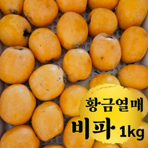 친환경 무농약 새콤달콤 국산 비파열매 1kg 신품종 완도 당일수확 햇 생과 생비파 살구 국내산 노지 담금주 효소 비파나무 열매 과일, 중품1kg(18과이상), 1개