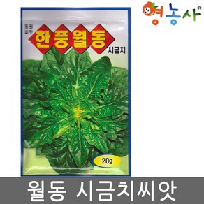 한풍월동 시금치씨앗 20g, 1개