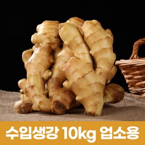 수입생강 세척생강 대강 신선생강 최상품 10kg(업소용) 아이스박스 포장, 1개