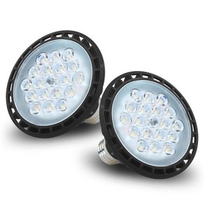 파룩스 집중형 15W LED PAR30, 주광색, 2개