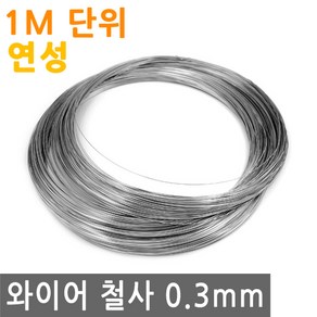 와이어 철사 0.3mm 연성 스텐 연선 철 선 로프 끈 줄 로프 체결 액자걸이 소품걸이 그림걸이, IW119.선택 - 와이어철사 0.3mm 연성 1M, 1개