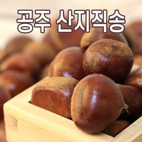 공주밤 정안밤 햇밤 알밤 산지직송