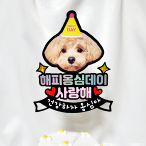 반려동물 강아지토퍼 반려견토퍼 반려묘 강아지 고양이 생일토퍼 생일축하 포토 사진 토퍼 제작, 1개