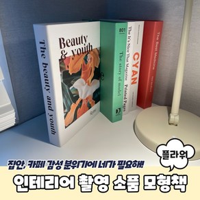 인테리어 촬영 소품 가짜 모형책 플라워