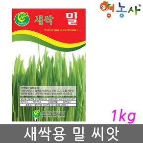 새싹 밀씨앗 1kg, 1개