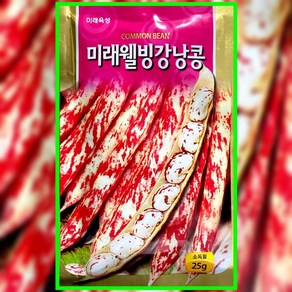 미래웰빙 강낭콩씨앗 25g 강낭콩씨 종자, 1개