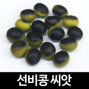 선비콩 씨앗 선비잡이콩 토종 콩 재래종 종자 50알